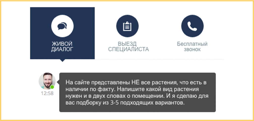 Пример чата для начала разговора с лидом